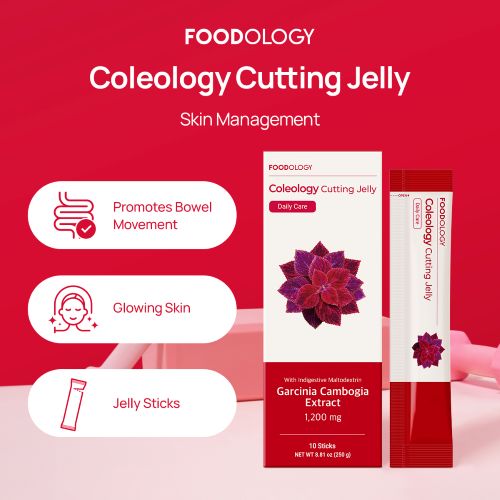 FOODOLOGY Coleology Cutting Jelly