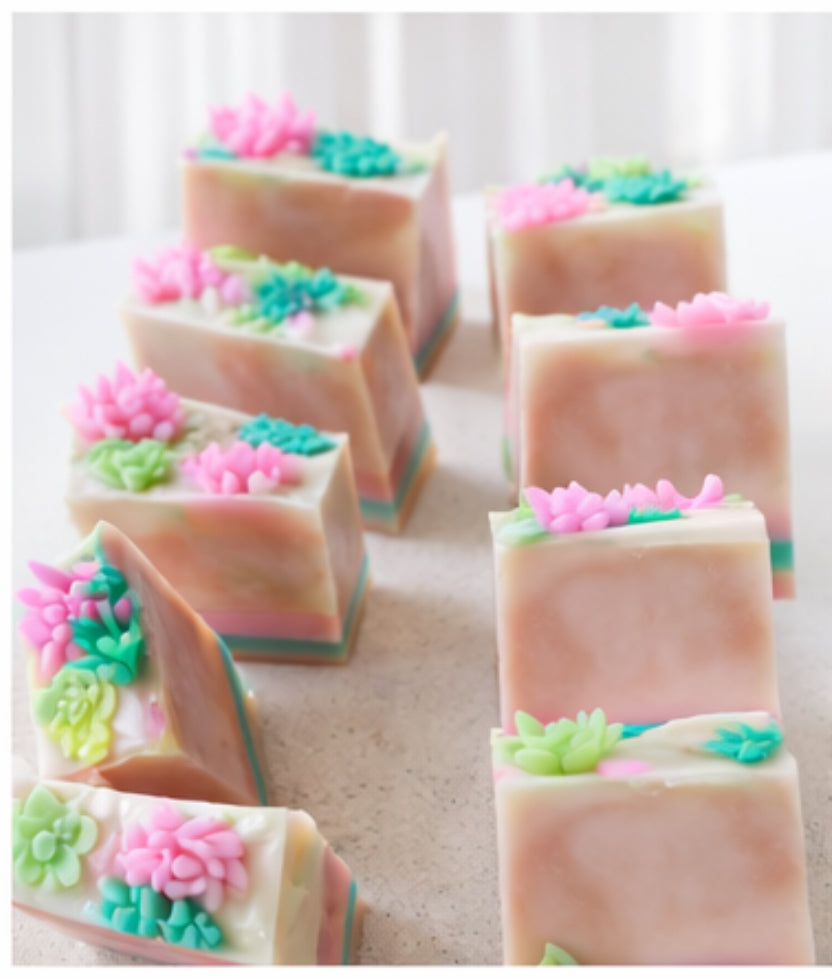 Succulent Bar Soap