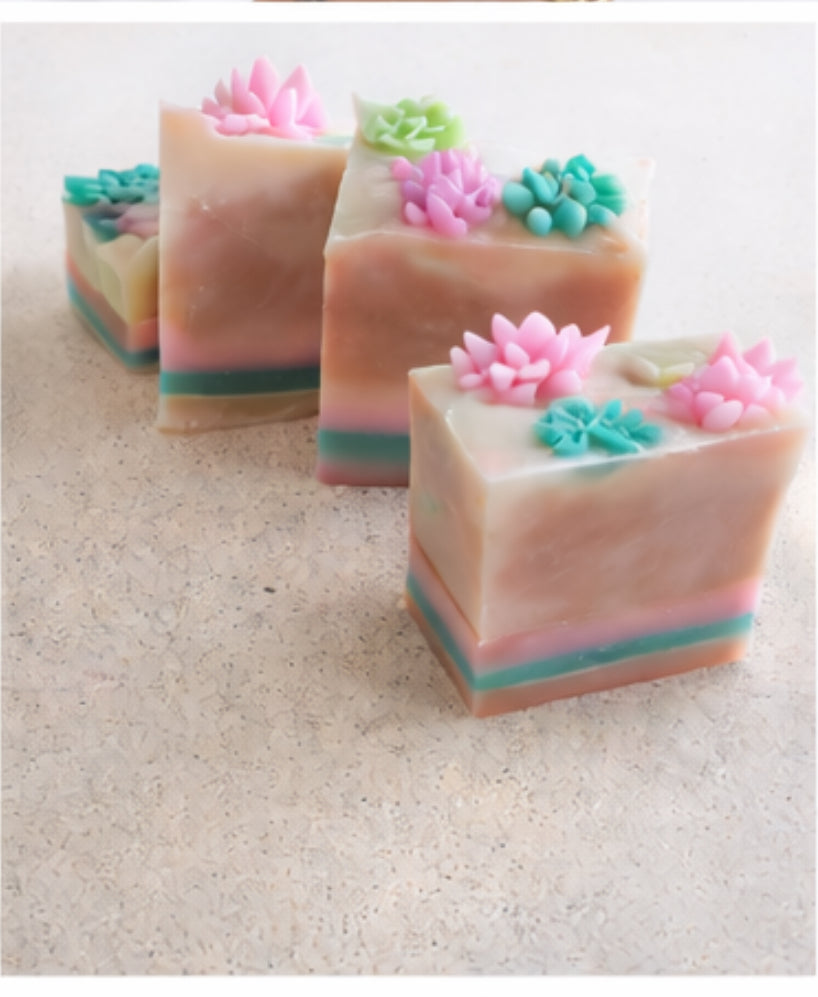Succulent Bar Soap