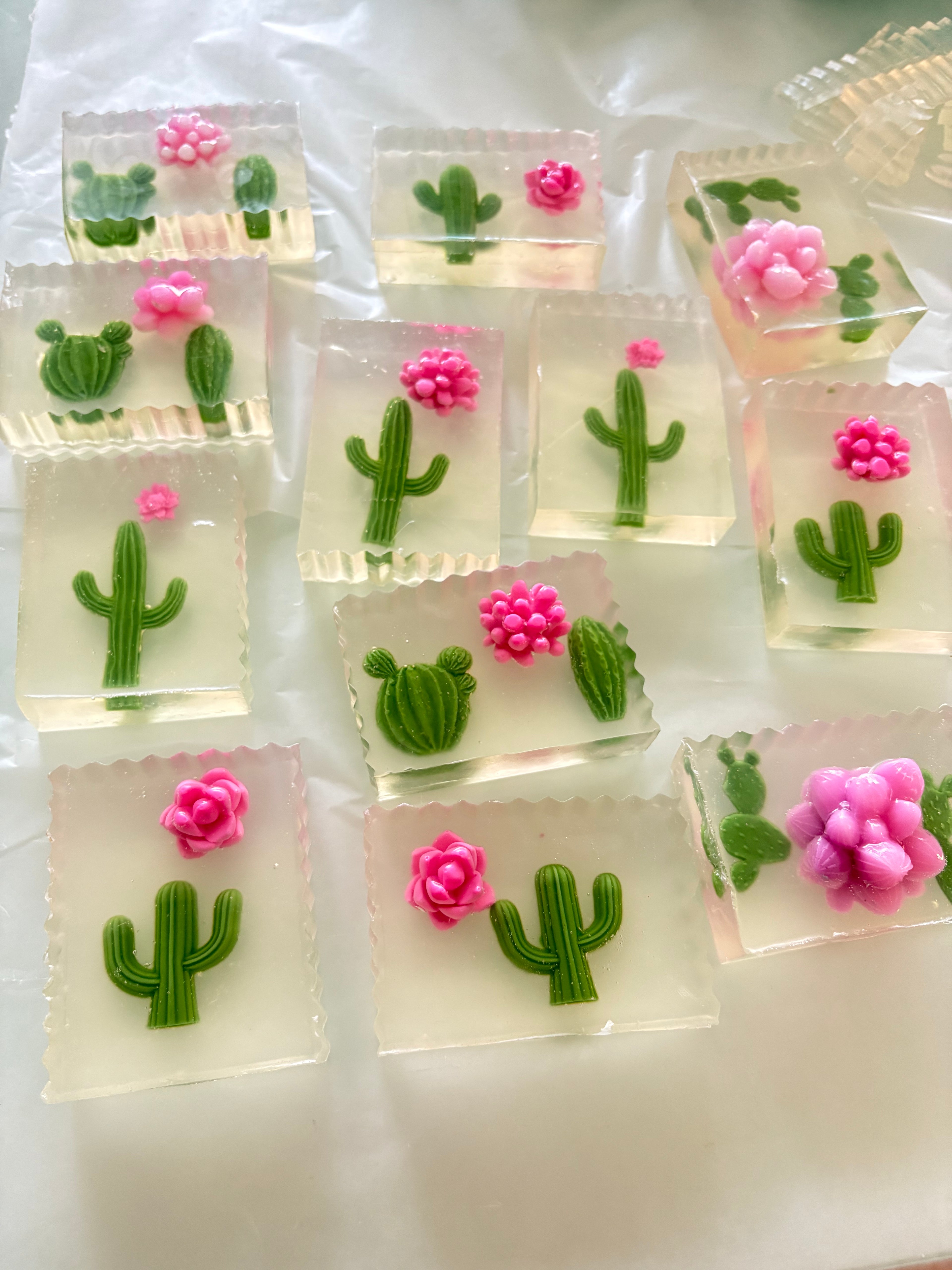 Cactus Soap Bar